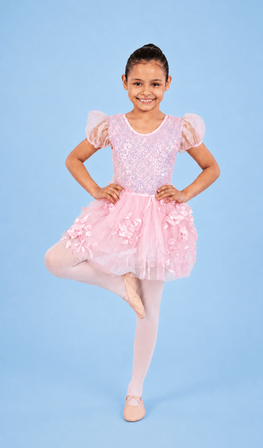 A Dream Is A Wish - First Recital - Costume Gallery