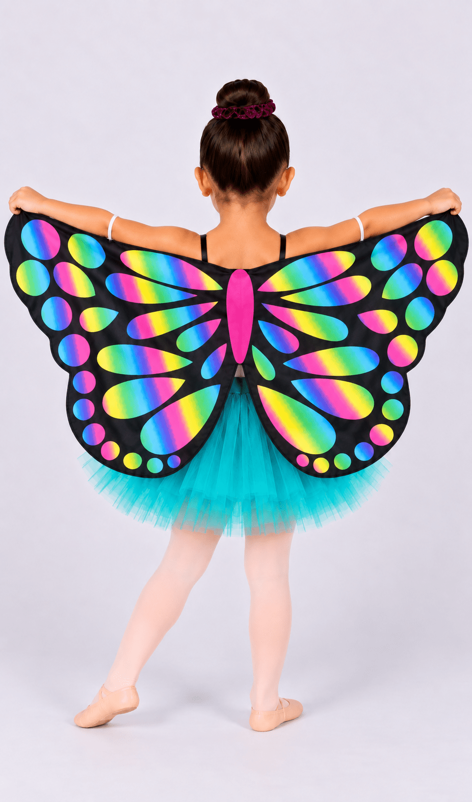 Rainbow Chiffon Butterfly Wings - Accessories - Costume Gallery
