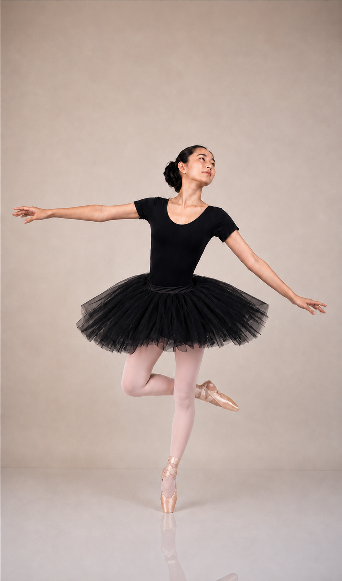 Platter Tutu