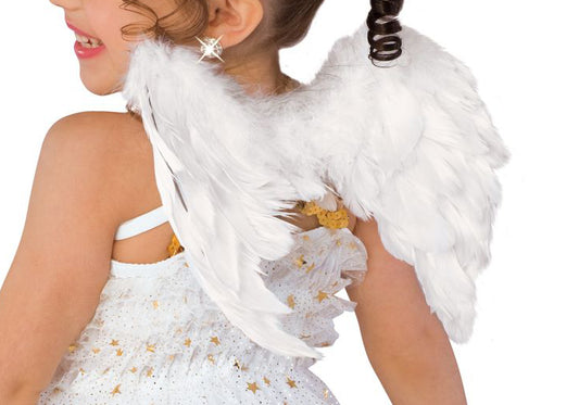 Alas de Pluma Blanca